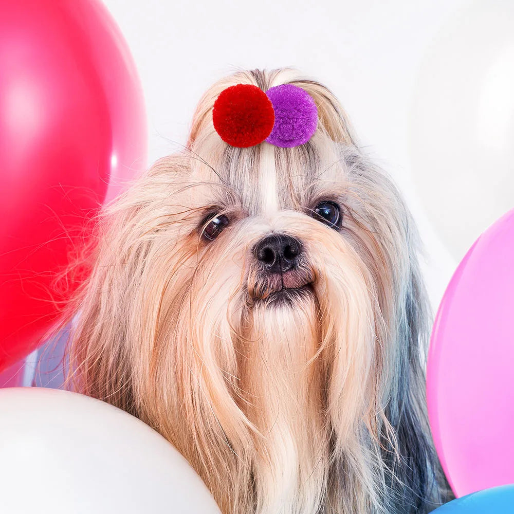 🎀 Dog Hair Bows Set for Stylish Pets